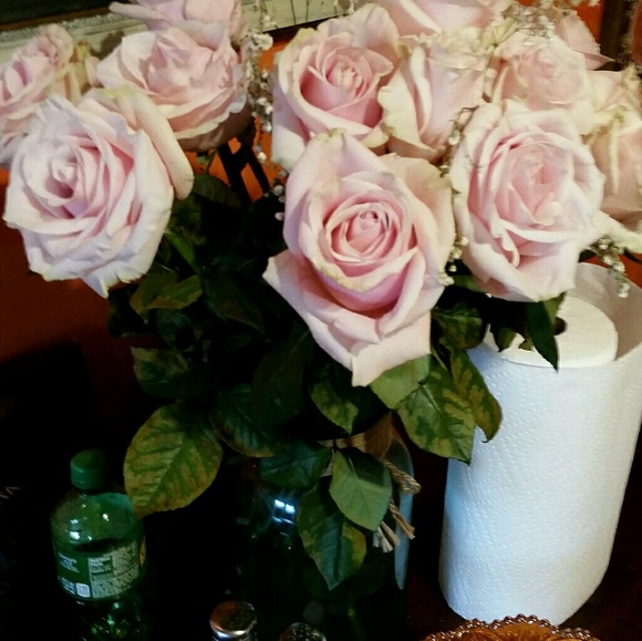 Meet your Posher, Robin - Picture 1 of 1